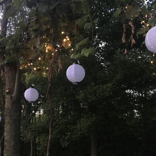 Chinese Lanterns, 7" Diameter, Battery Operated