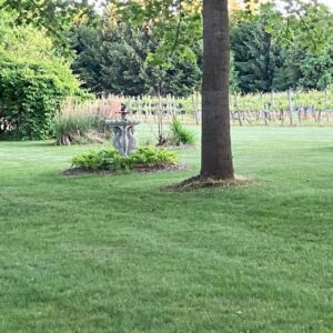 Greenway Site Rental