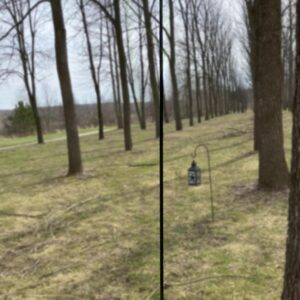 Shepard"s Hook, Large