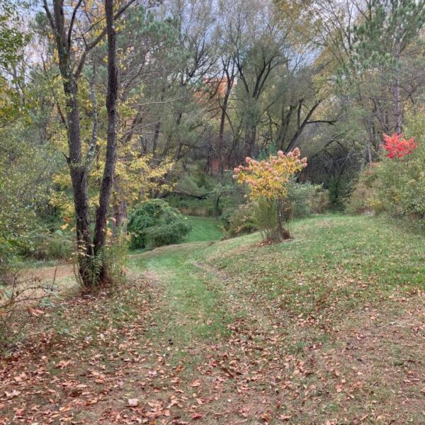 Creekside Site Rental