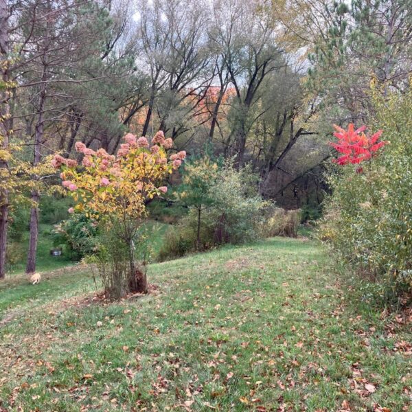 Creekside Site Rental