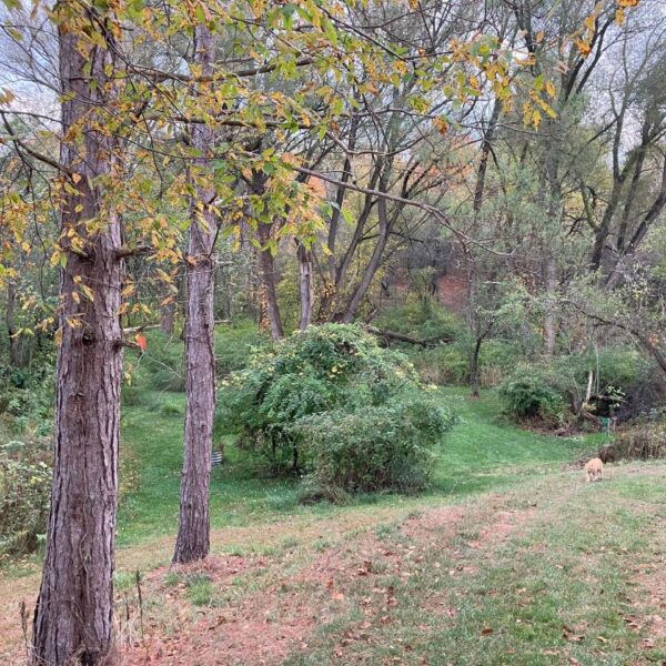 Creekside Site Rental