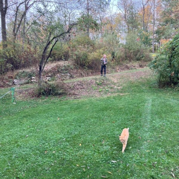 Creekside Site Rental