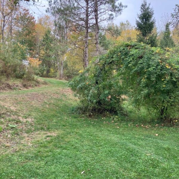 Creekside Site Rental