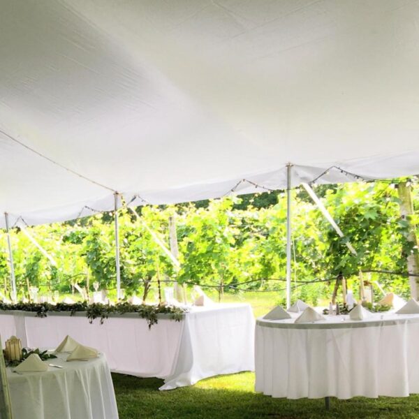 100 Guest Package on the Greenway