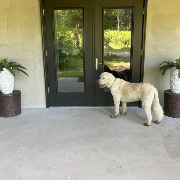 Lower Level indoor/Outdoor Rental