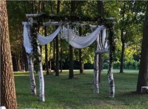 White Paper Birch Arch