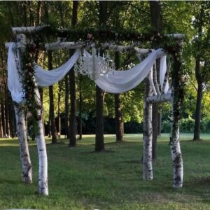 White Paper Birch Arch