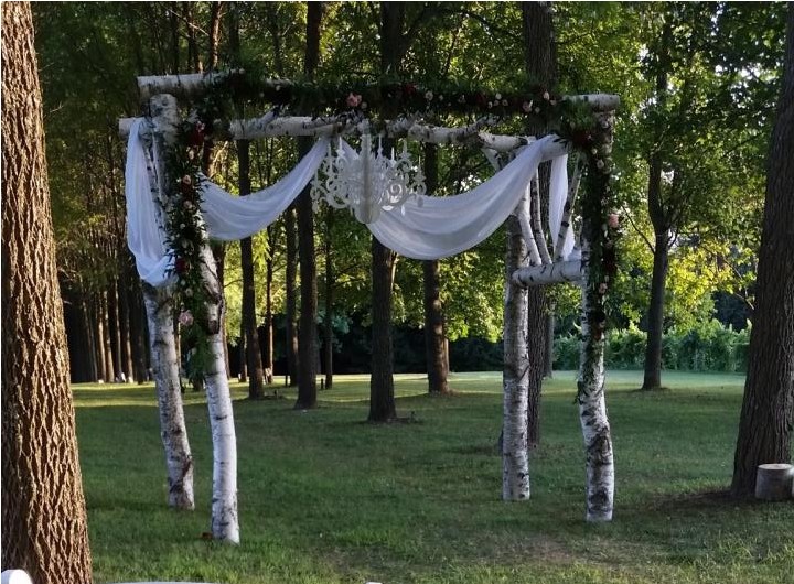 White Paper Birch Arch