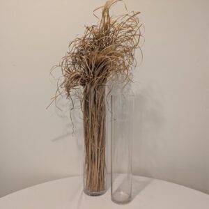 Cylinder, 10" Diameter Vase, 30" Tall