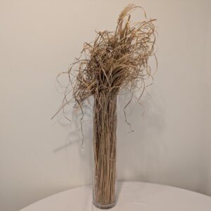 Cylinder10DiameterVase30Tall2jpg