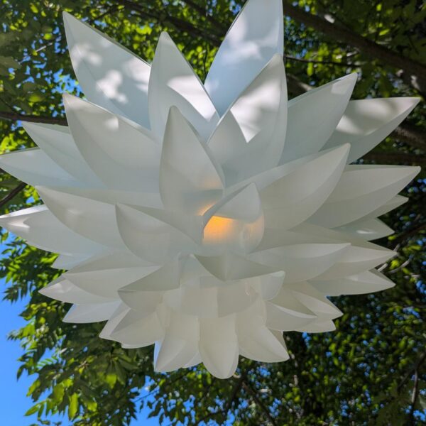 Lotus Light
