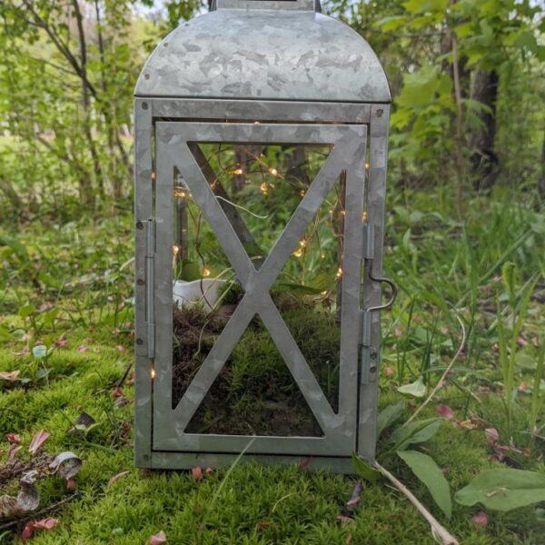 Galvanized Lantern, 7"
